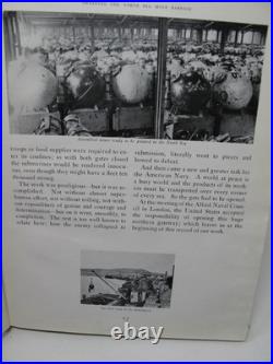 1919 North Sea Mine Barrage Photos Names USS Blackhawk Robin Turkey Finch Auk