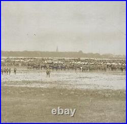 Antique 1920 Armed Forces In Germany Yardlong Photograph Military 43 Long