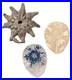 Edelweiss-Flower-1st-Mountain-Div-Hat-badge-Cocarde-WWII-set-Military-Pin-Glass-01-nsa
