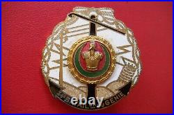 FRANCE Engineering 34° Engineering battalion telegraph engineers L. AUBERT Badge