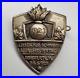 German-Artillery-Weimar-Republic-1923-Frankfurt-badge-award-medal-tinnie-pin-old-01-qc