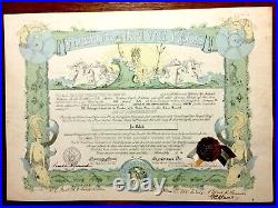 Navy Shellback Cert, USS Houston 1938, signed by Pres F D Roosevelt and 5 staff
