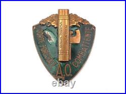Original Italian Fascist AO Corte Forestale Combattente Enamel Sleeve Shield