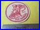 Original-Wwii-Usaaf-22nd-Bomb-Group-Red-Raiders-5-Th-Aaf-B-26-Patch-01-xb