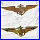 Pancraft-1920-s-1930-s-Navy-Aviator-Wings-Insignia-2-3-4-Size-Pilot-Badge-54-01-djy