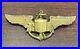 Very-Rare-1920-s-US-Navy-Pilot-Wings-By-PSCo-TJ069-01-qcb