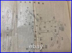 WW2 Imperial Japanese Army Noyama Artillery Essentials Manual with Horse