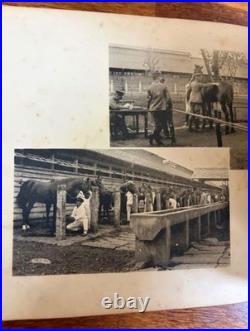 WWII Imperial Japanese Army Cavalry School Training Photo Album 1924